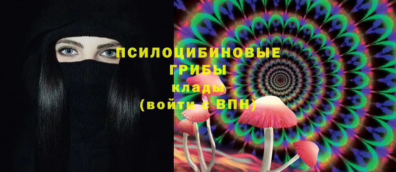 где найти наркотики  Морозовск  Псилоцибиновые грибы Psilocybe 